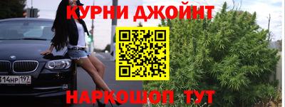 сатива Будённовск
