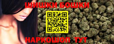 сатива Будённовск