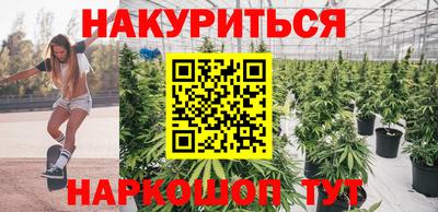 сатива Будённовск