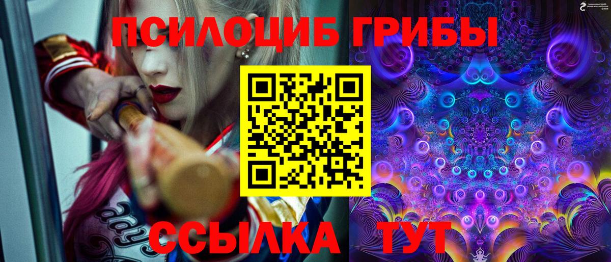 Красный Сулин  Галлюциногенные грибы Cubensis  Вход с VPN 
